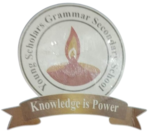 Young scholars grammar secondary school